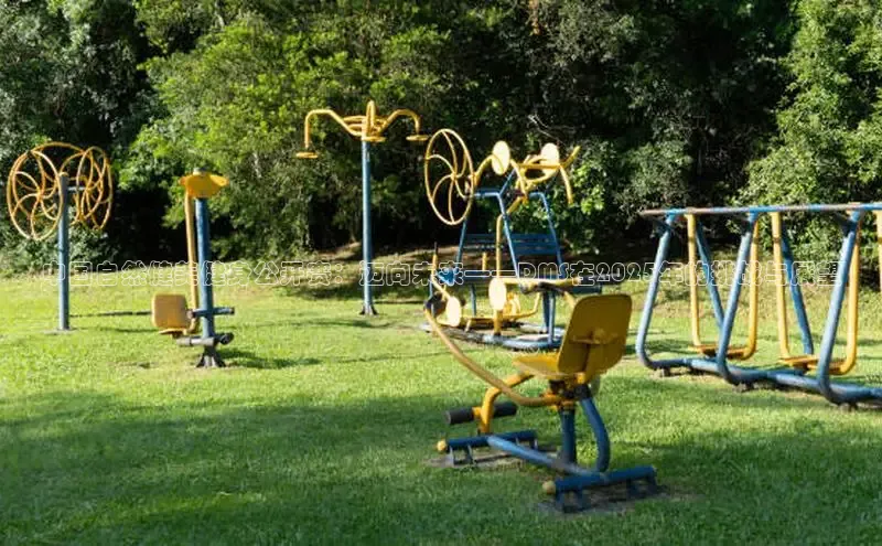 天生赢家凯发一触即发小说